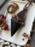 Mako Shark Tooth Fossil/ Fossil Coral/ Blue Labradorite/ Tigers Eye Copper Necklace