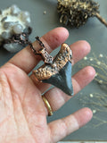 Mako Shark Tooth Fossil/ Tournaline Copper Necklace