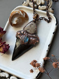 Mako Shark Tooth Fossil/ Fossil Coral/ Blue Labradorite/ Tigers Eye Copper Necklace
