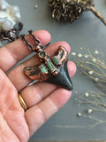 Mako Shark Tooth Fossil/ Tournaline Copper Necklace