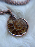 Ammonite Fossil Copped Necklace