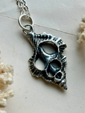 Sea shell Slice Sterling Silver Necklace