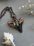 Mako Shark Tooth Fossil/ Tournaline Copper Necklace