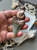 Mako Shark Tooth Fossil/ Ammonite Fossil/ Labradorite/ Black Tourmaline Copper Necklace