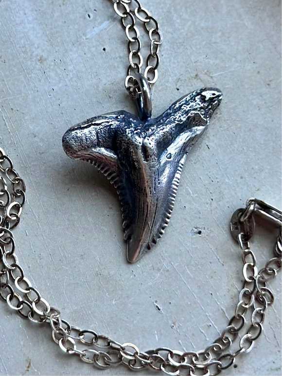 Hemipristis Shark Sterling Silver Necklace