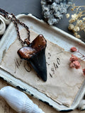 Mako Shark Tooth & GreenTourmaline Copper Necklace