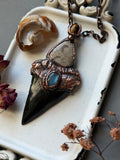 Mako Shark Tooth Fossil/ Fossil Coral/ Blue Labradorite/ Tigers Eye Copper Necklace