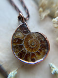 Ammonite Fossil Copped Necklace