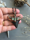 Mako Shark Tooth Fossil/ Tournaline Copper Necklace