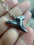 Hemipristis Shark Sterling Silver Necklace