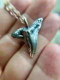 Hemipristis Shark Sterling Silver Necklace