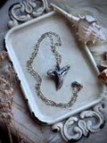 Hemipristis Shark Sterling Silver Necklace
