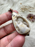 Gem Spiralite Seashell fossil Copper Necklace