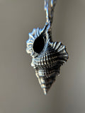 Real Casted Seashell Sterling Silver Necklace