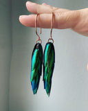 Elytra Beetle Wing Copper Earrings