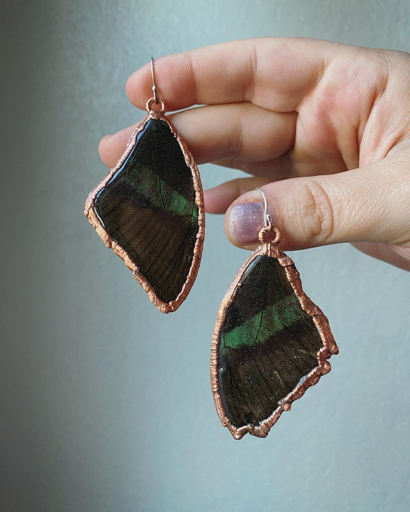 Real Immortalized Butterfly Wing Copper Earrings