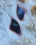 Real Immortalized Butterfly Wing Copper Earrings