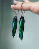 Elytra Beetle Wing Copper Earrings